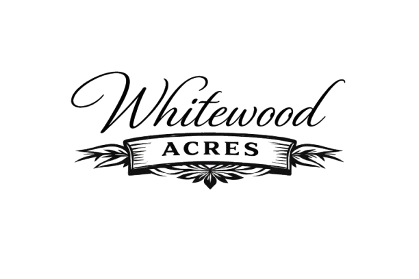 cd3a1e4a 0517 4524 bfb6 2bcbdff5b283 removebg preview